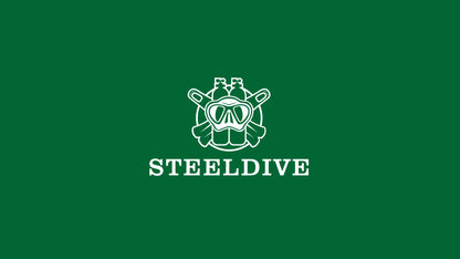 Steeldive SD1933 New Arrival 39MM Stainless Steel Case Sapphire Glass NH35 Automatic Dive Watch with Date