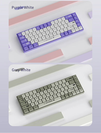 AJAZZ AK680 65% Wireless Mechanical Keyboard ABS Keycap Hot Swap Gamer Keyboard Custom Gasket Gaming Accessories for Pc Laptop