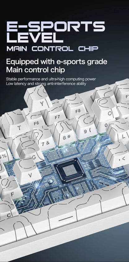 ATTACK SHARK R82 HE Wired 75% Magnetic Keyboard RGB 8000Hz Rapid Trigger 0.005mm Actuation Gaming Keyboard