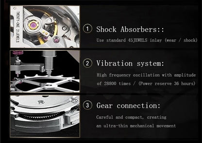 AILANG watch men's advanced expensive automatic mechanical watch Rome double tourbillon waterproof watch.