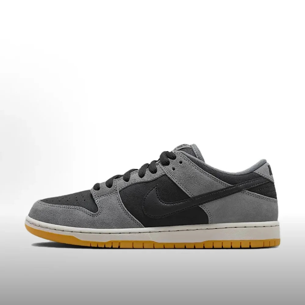 Chaussures de skateboard Nike Dunk SB unisexes : confort rembourré, adhérence durable, baskets décontractées HF5441-100
