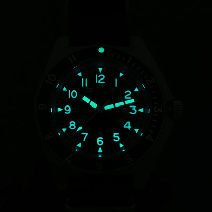 Watchdives WD1972 Quarzuhr mit VH31 Sweep-Seconds-Uhrwerk, Saphirglas, BGW9-Leuchtmasse, 20Bar wasserdicht, Vintage-Herrenuhr